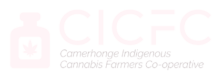 CICFC - Camerhogne Indigenous Cannabis Farmers Co-operative Logo